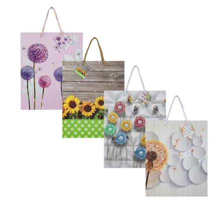 Large Everyday Gift Bag