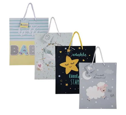 Large Everyday Gift Bag
