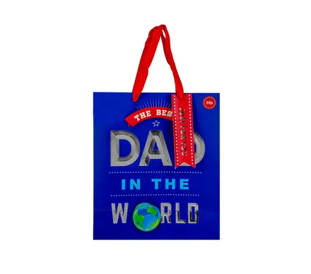 Large Foil  Dad Gift Bag