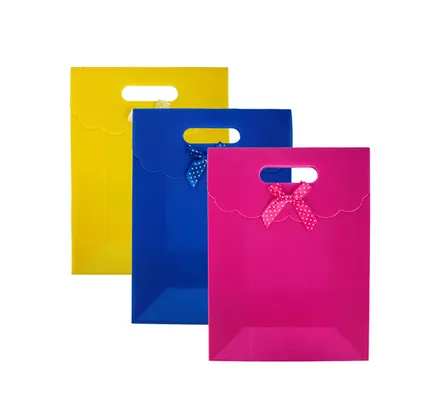 Everyday Gift Bag