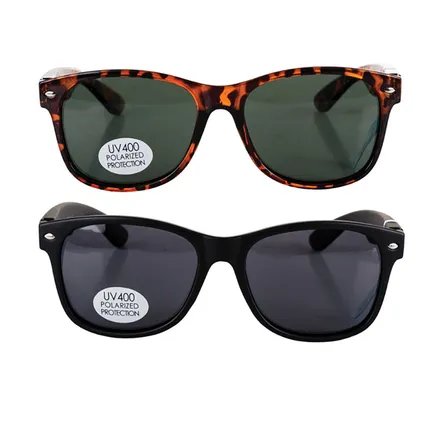 Sunglasse Classic Wayfarer