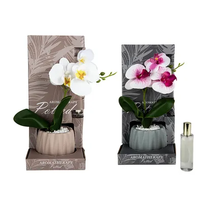 Orchids Diffuser Flower Pot 30cm