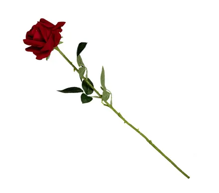 Long Satin Rose, 60cm